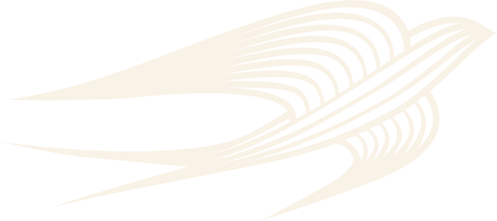 Gold Swift